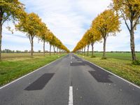 an empty road is shown with yellow trees lining the sides of each one and two long white lines on the other