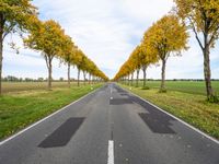 an empty road is shown with yellow trees lining the sides of each one and two long white lines on the other