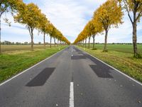 an empty road is shown with yellow trees lining the sides of each one and two long white lines on the other