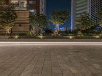 Yokohama: City Lights and Japanese Urban Design