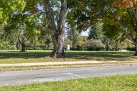 a young boy riding a skate board through the park in front of trees and grass