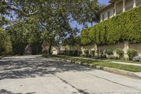 the young man skateboarding down a residential street in the suburbs'neighborhood of pasadena