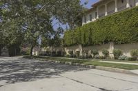 the young man skateboarding down a residential street in the suburbs'neighborhood of pasadena