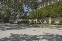 the young man skateboarding down a residential street in the suburbs'neighborhood of pasadena