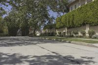 the young man skateboarding down a residential street in the suburbs'neighborhood of pasadena