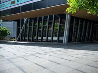 a young person with a skateboard near a building outside in the sun near a bush