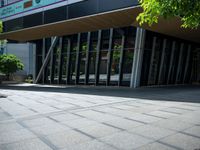 a young person with a skateboard near a building outside in the sun near a bush