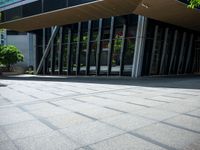 a young person with a skateboard near a building outside in the sun near a bush