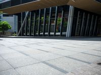 a young person with a skateboard near a building outside in the sun near a bush