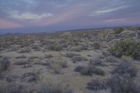 a desert area with bushes in it and a dark sky behind it is seen from the side