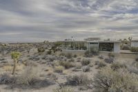 the house is surrounded by desert vegetation with no clouds in the sky, and is mostly open