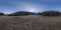 two horses in a field of dry grass and snow covered trees at night time with mountains behind