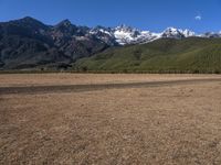 a lone horse walking through a large dry field with a mountain range in the background