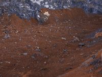 an animal standing in the shade of a mountain with red soil and rocks behind it