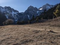 the snow covered mountains are surrounded by brown grass and trees in this area of a sunny day