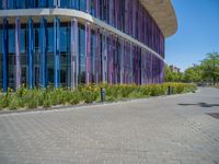 a building with pink glass and purple striped exterior is shown with the brick path on the left