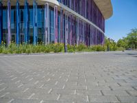 a building with pink glass and purple striped exterior is shown with the brick path on the left