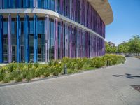 a building with pink glass and purple striped exterior is shown with the brick path on the left