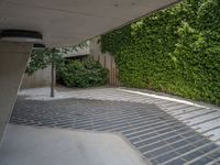 Zaragoza: Concrete Surface Courtyard