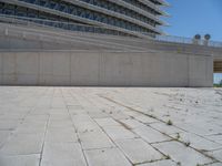 a black fire hydrant is sitting in the concrete area in front of a large building