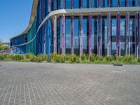 a building with pink glass and purple striped exterior is shown with the brick path on the left