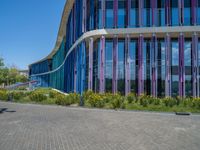 a building with pink glass and purple striped exterior is shown with the brick path on the left