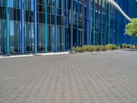 a building with pink glass and purple striped exterior is shown with the brick path on the left