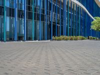 a building with pink glass and purple striped exterior is shown with the brick path on the left