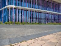 a building with pink glass and purple striped exterior is shown with the brick path on the left