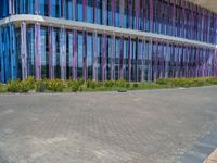 a building with pink glass and purple striped exterior is shown with the brick path on the left