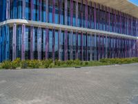 a building with pink glass and purple striped exterior is shown with the brick path on the left