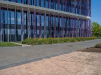 a building with pink glass and purple striped exterior is shown with the brick path on the left