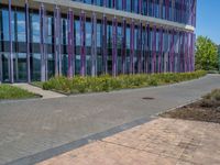 a building with pink glass and purple striped exterior is shown with the brick path on the left