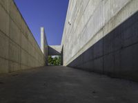 the side of a building that is lined with long white walls and concrete walls on either side are a narrow concrete walkway next to it, which is a small planter