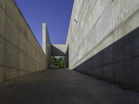 the side of a building that is lined with long white walls and concrete walls on either side are a narrow concrete walkway next to it, which is a small planter