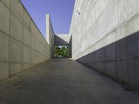 the side of a building that is lined with long white walls and concrete walls on either side are a narrow concrete walkway next to it, which is a small planter