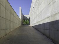 the side of a building that is lined with long white walls and concrete walls on either side are a narrow concrete walkway next to it, which is a small planter