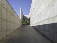 the side of a building that is lined with long white walls and concrete walls on either side are a narrow concrete walkway next to it, which is a small planter