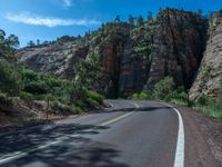 Zion National Park: Asphalt Road in USA