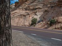 Zion National Park Landscape Road