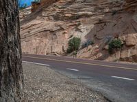 Zion National Park Landscape Road