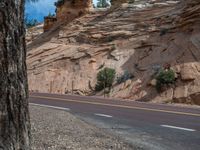 Zion National Park Landscape Road