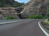 Road Through the Stunning Landscape of Zion National Park