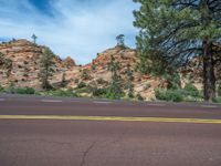 Zion National Park Landscape: A Road in the USA