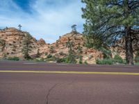 Zion National Park Landscape: A Road in the USA