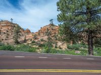 Zion National Park Landscape: A Road in the USA