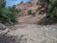 Zion National Park Landscape in the USA