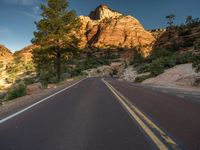 Zion National Park Road: Asphalt Landscape