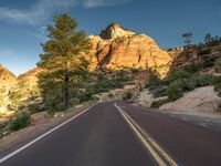 Zion National Park Road: Asphalt Landscape