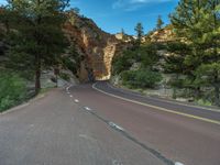 Road and Landscape in Zion National Park